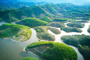 Aerial,Image,Of,Tea,Plantations,On,Islands,In,Thanh,Chuong,
